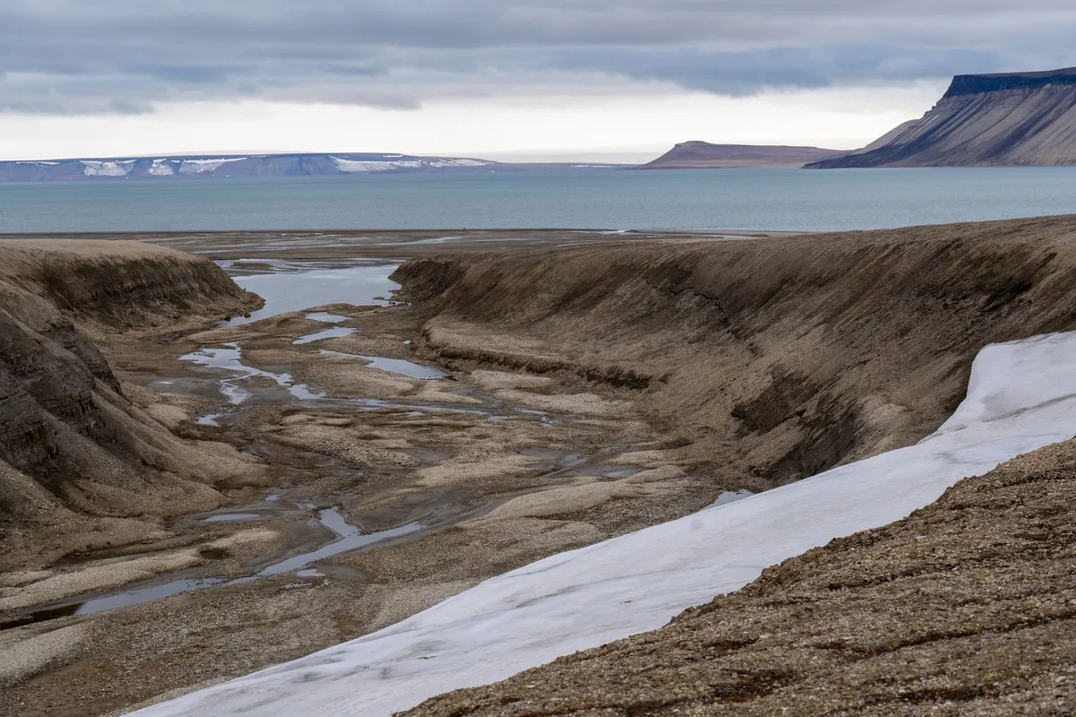 A remote Arctic tundra lake with clear water under an overcast polar sky