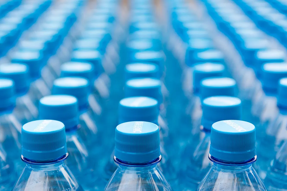 Rows of clear single-use plastic water bottles with caps, lit by soft natural light
